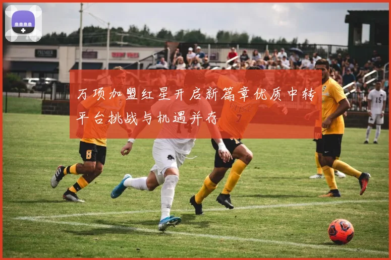 万项加盟红星开启新篇章优质中转平台挑战与机遇并存