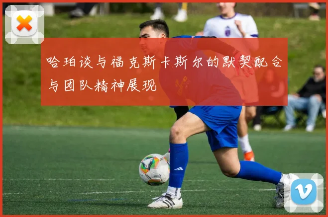 哈珀谈与福克斯卡斯尔的默契配合与团队精神展现