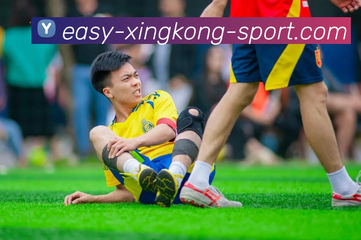 星空体育平台生态图