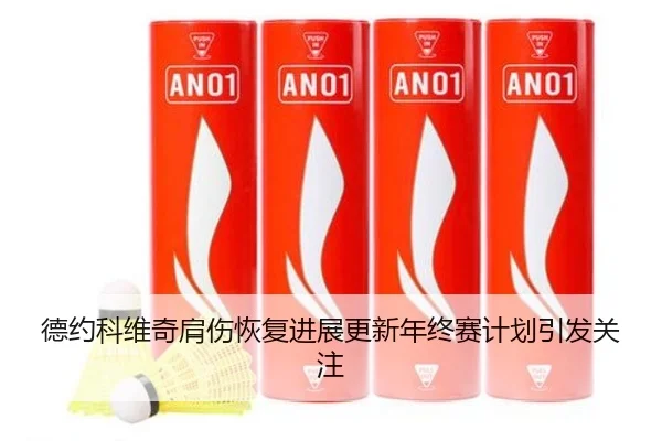 德约科维奇肩伤恢复进展更新年终赛计划引发关注 - xingkong